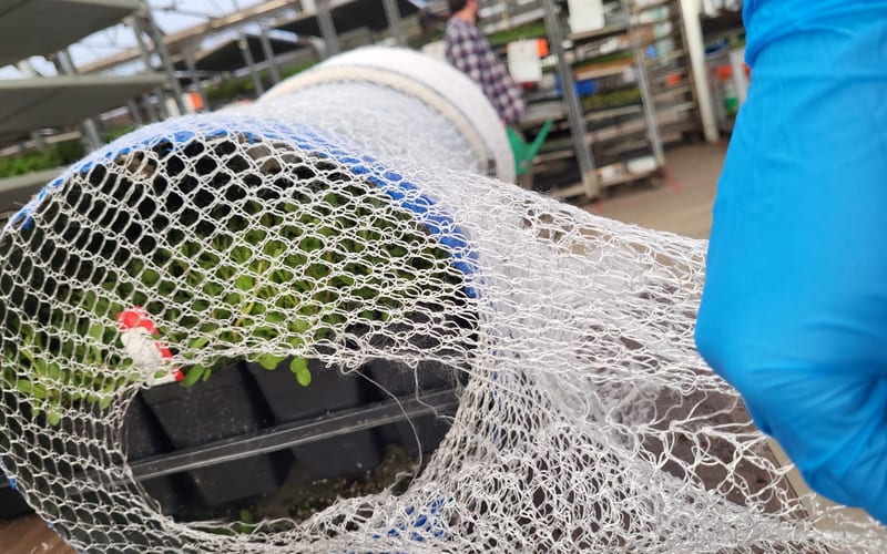 GentleNet — nursery & plant sleeving (PP)